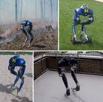 Feedback control of a cassie bipedal robot: Walking, standing, and riding a segway