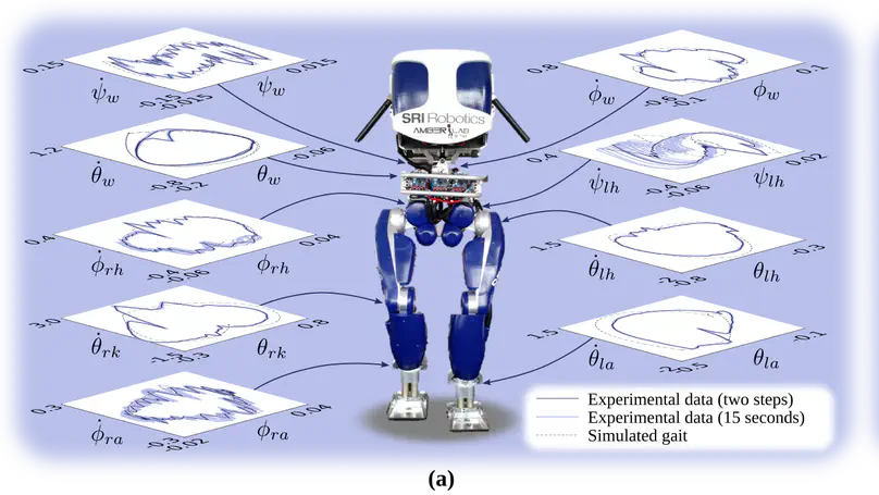 3D dynamic walking with underactuated humanoid robots: A direct collocation framework for optimizing hybrid zero dynamics