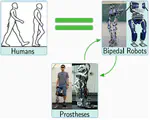 3D multi-contact gait design for prostheses: Hybrid system models, virtual constraints and two-step direct collocation