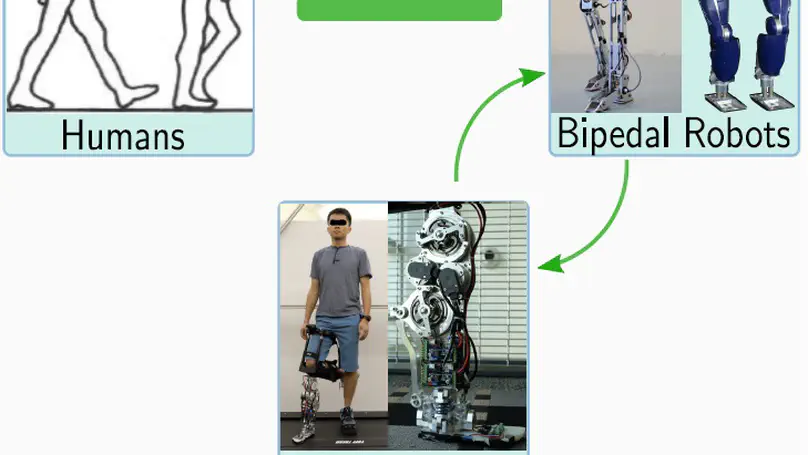 3D multi-contact gait design for prostheses: Hybrid system models, virtual constraints and two-step direct collocation