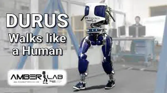 Durus walks like a human